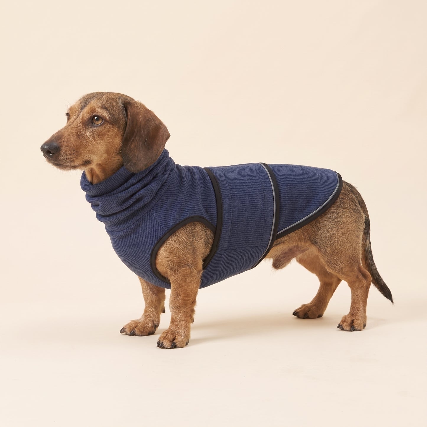Nytherin Hug Vest